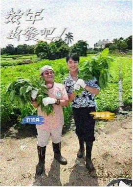 全员加速中